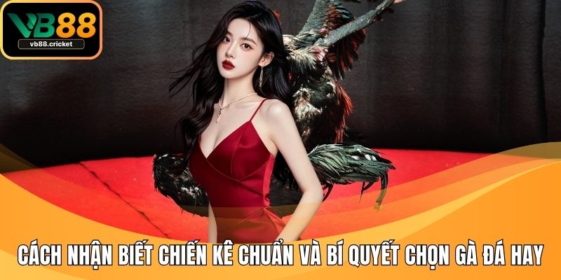 cách nhận biết chiến kê