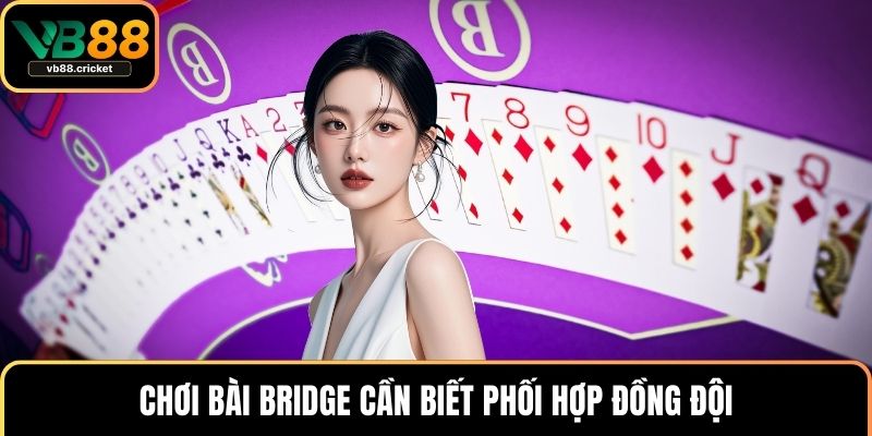 Chơi bài bridge cần biết phối hợp đồng đội