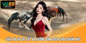 luật đá gà