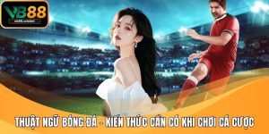 thuat ngu bong da